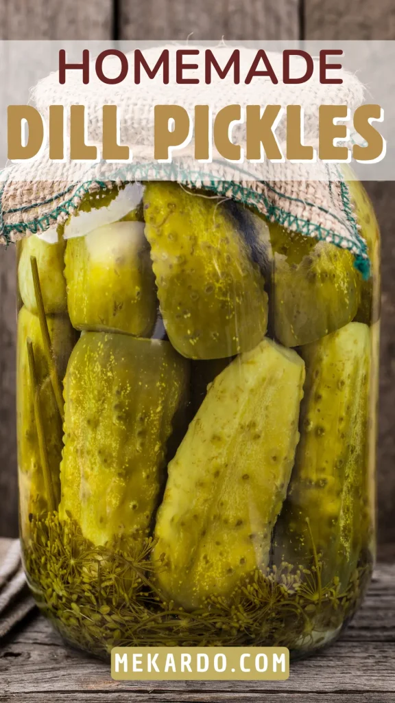 Homemade Dill Pickles Recipe